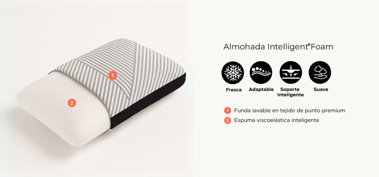 img estructura