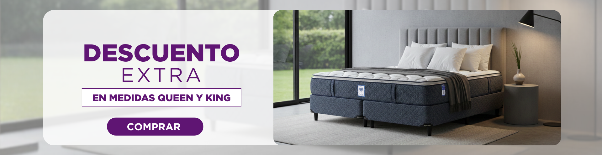 Banner promoción principal